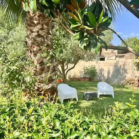 Casa Ulivo וילה San Sperate